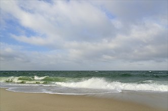 Waves on the sandy beach