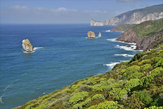 Coastline
