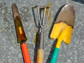 Colourful garden tools
