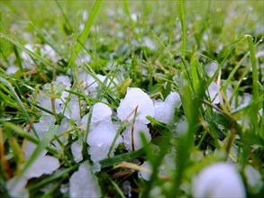 Hailstones in the grass