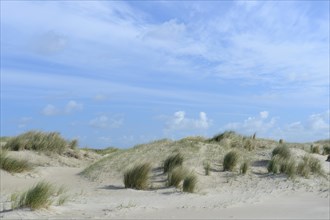 Dunes of De Hors