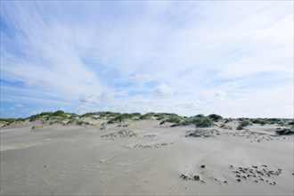 Dunes of De Hors