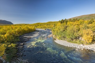 Abiskojokk river in autumnal landscape