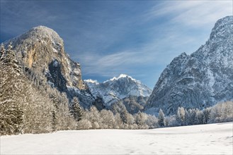 Winter landscape