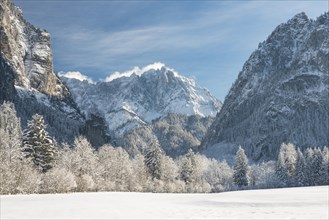 Winter landscape