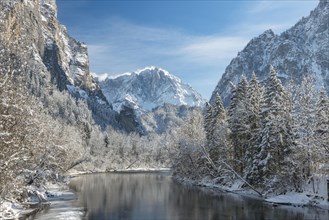 Winter landscape