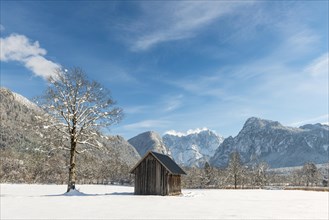 Barn