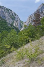 Cheile Turzii or Turda gorge