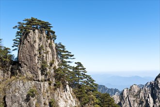 Bizarre towering rocks and mountains overgrown with Huangshan pines (Pinus hwangshanensis)