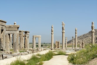 Gates and pillars