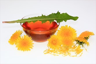 Bowl of dandelion syrup