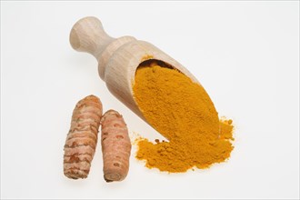 Turmeric root (Curcuma domestica) and ground turmeric powder