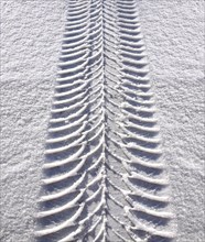 Car tyre track in snow