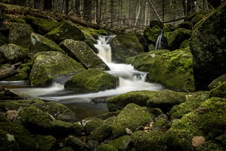 Mountain stream with mossy stones in mountain forest