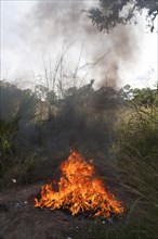Burning rubbish in the African bush
