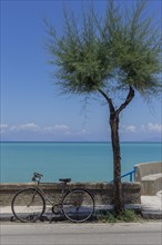 Old bicycle by wall beside tree in front of Mediterranean Sea
