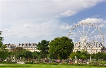 Tuileries Garden with Ferris wheel