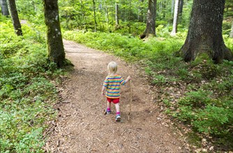 Toddler hiking in the Enchanted Forest in Bernau