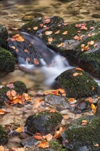 Stream flowing over stones