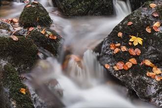 Stream flowing over stones