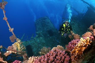 Diver at Gianis D shipwreck