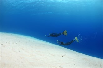 Freediver swimming over a sandy ocean bottom