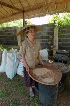 An elderly Thai woman cleaning rice grains