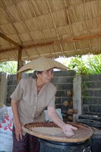An elderly Thai woman cleans grain rice