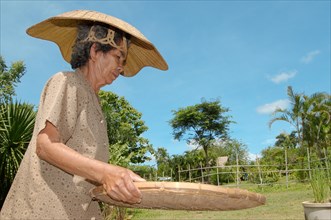 An elderly Thai woman cleaning rice grains