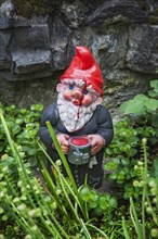 Garden gnome