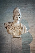 Bust of Athena