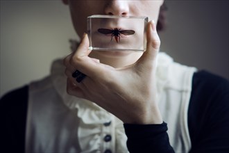 Woman holding a Linne's cicada
