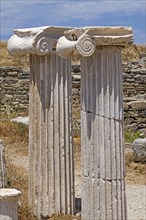 Delphic capital of a pillar