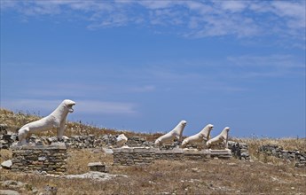 Avenue of the Lions in the ruins of the ancient city of Delos