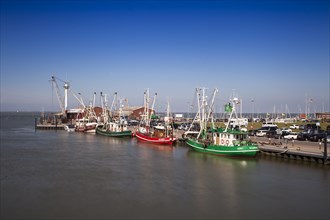 Shrimp boats in the port of Dornumersiel
