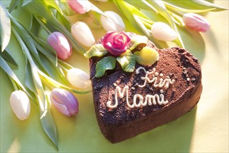 Chocolate cake with lettering that says Fur Mami
