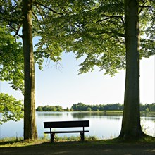 Bench between two beech trees on Neuer Teich pond in Plothen Ponds area