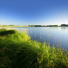 Neuer Teich pond in Plothen Ponds area