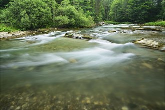 Rapids of the Ammer