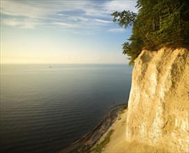 Chalk cliffs in morning light
