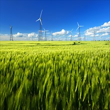 Wind turbines in barley field in spring