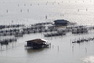 Fish farming