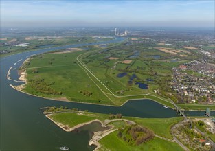 Rhine wetlands Walsum