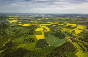 Agricultural land and rapeseed fields in Heimbach