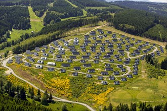 Hillside of the holiday park Landal Winterberg