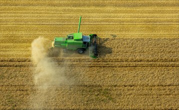 Combine harvester with dust spewing out on a corn field