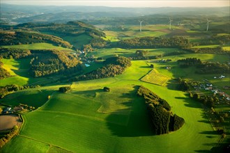 Hills with clusters of trees in the evening light near Arnsberg