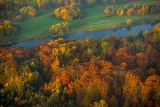 Autumn forest by the river Ruhr