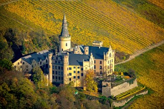 Arenfels Castle in vineyards in autumn