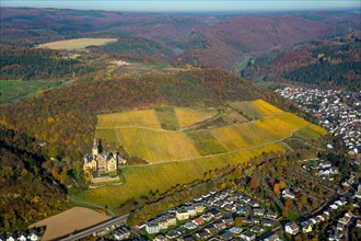 Arenfels Castle in vineyards in autumn
